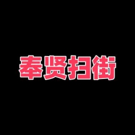 上海奉贤扫街